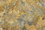 Huge, Polished, Crazy Lace Agate Slab - Western Australia #130402-2